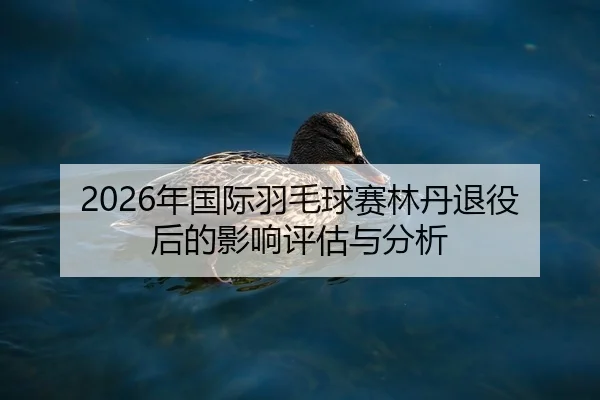2026年国际羽毛球赛林丹退役后的影响评估与分析