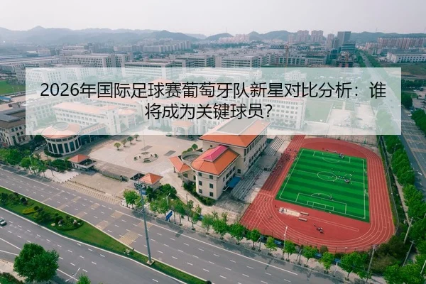 2026年国际足球赛葡萄牙队新星对比分析：谁将成为关键球员？